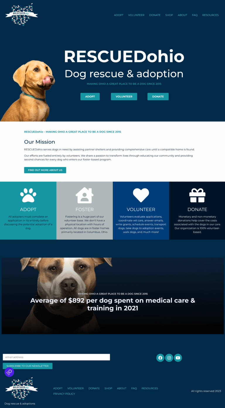 Modern, clean new RESCUEDohio Home page showing dog licking face and clear title