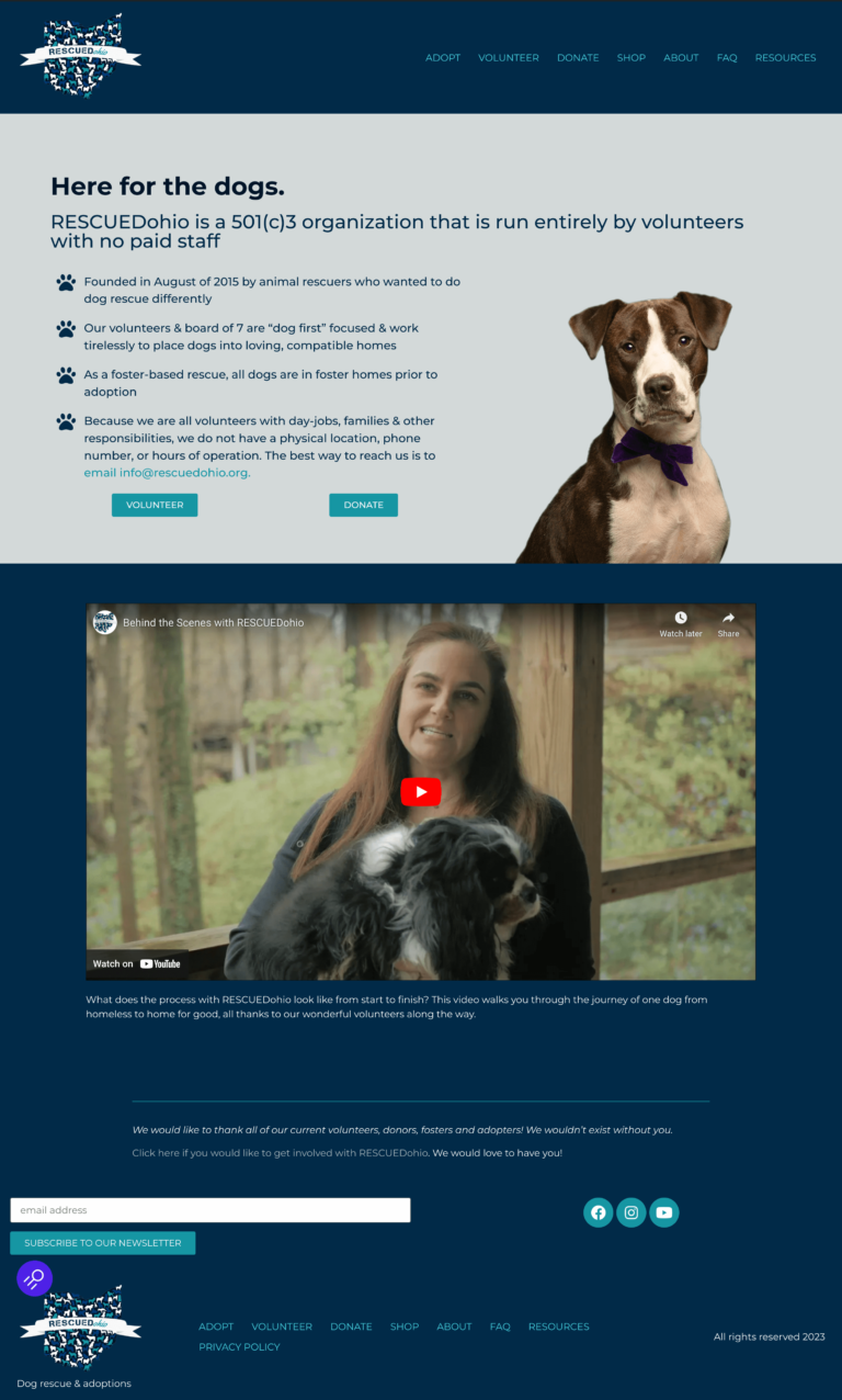 Modern, clean new RESCUEDohio Home page showing black and white dog and clear title and video